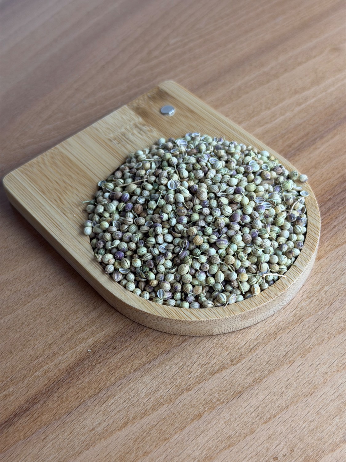 تخم گشنیز آسیاب نشده اعلاء ماهر ۱۰۰ الی ۵۰۰ گرم Coriander seeds